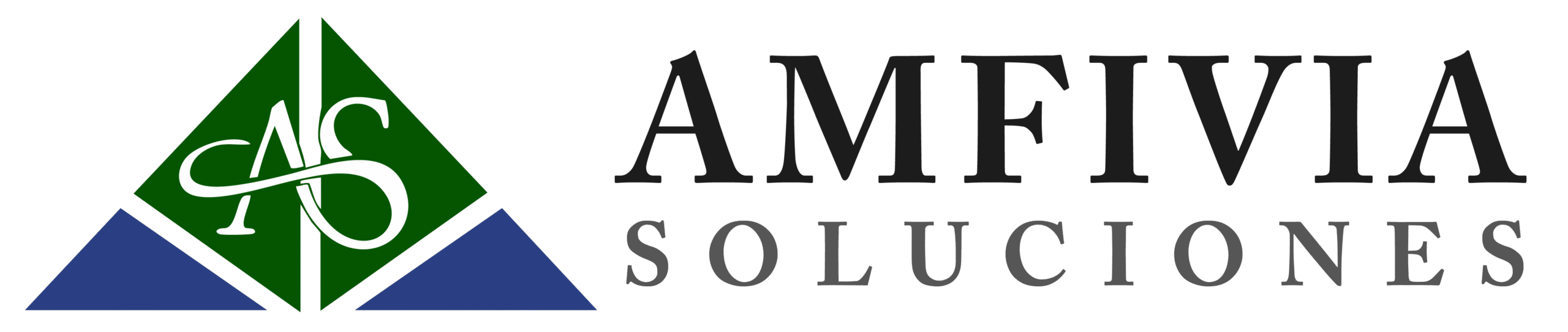 AMFIVIA Soluciones